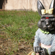 Illustration for article titled Cylon Easter Bunny Will Kill By Your Command
